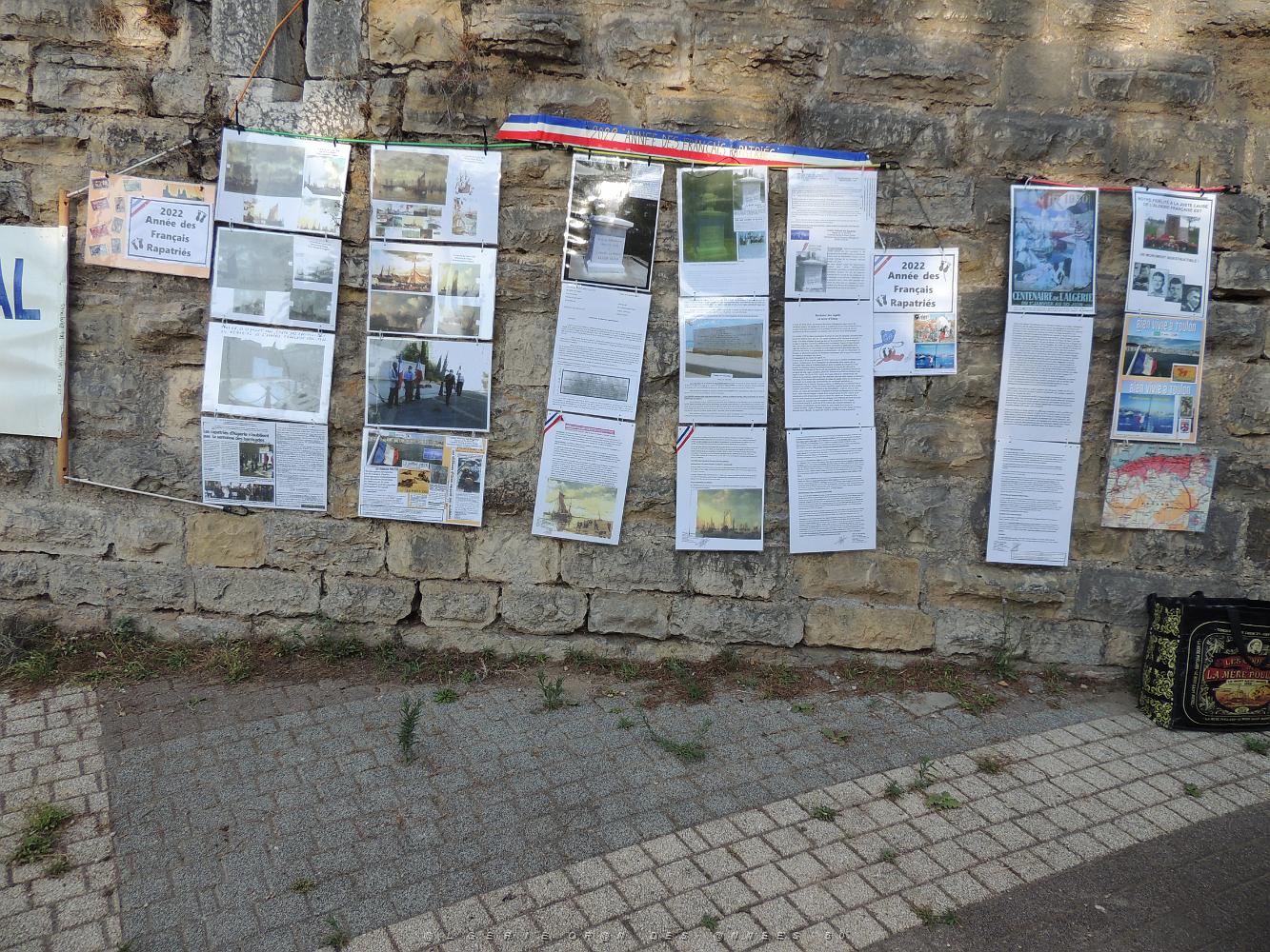 2022 07 05 TOULON HOMMAGE A NOS MORTS ET DISPARUS DU 5 07 2022 D ORAN 2 (8).JPG -           